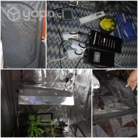 Kit indoor