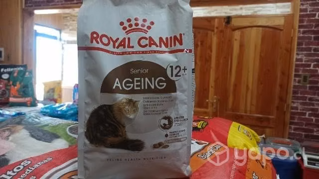 Royal Canin +12años - 2kg