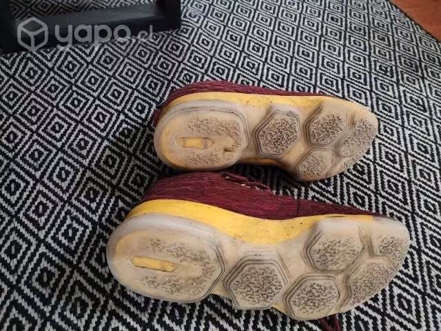 Zapatillas 43