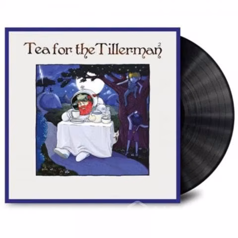 Vinilo LP Cat Stevens - Tea for the Tillerman2