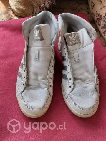 Zapatillas