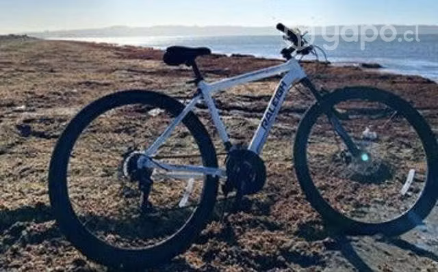 Bici Agile Blanca - Imagen 2