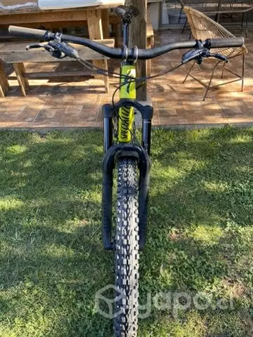 Specialized enduro 2019