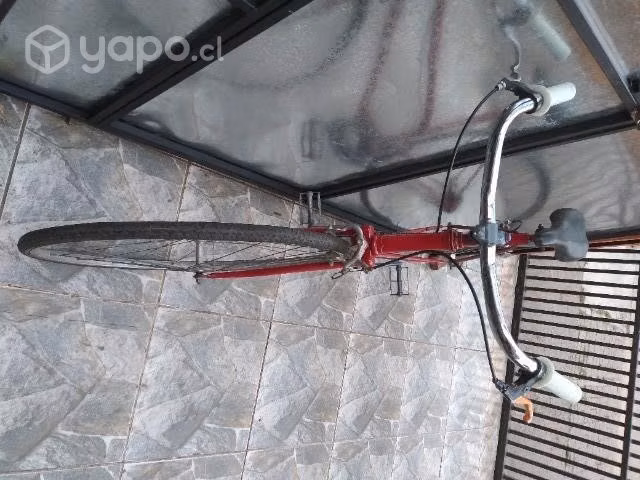 Fixie de Dama
