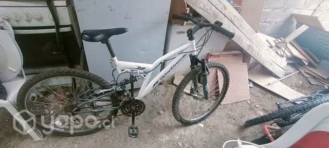 Bicicleta Alpine xtrem
