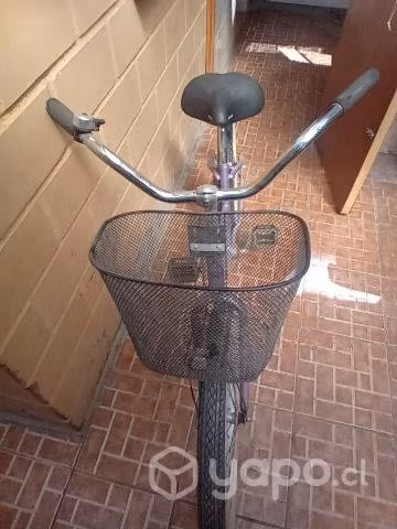 Bicicleta de paseo - Imagen 3
