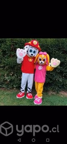 Corporeo Skye De PAW Patrol