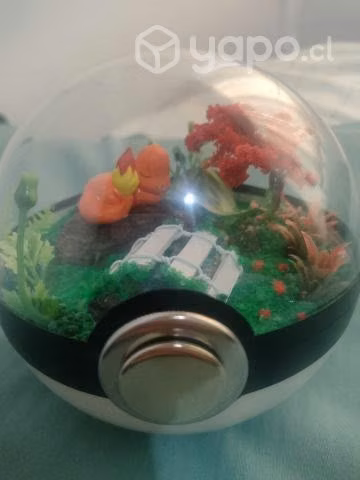 Pokebola terrarios