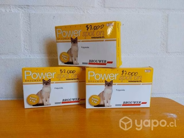Pipeta para gatos