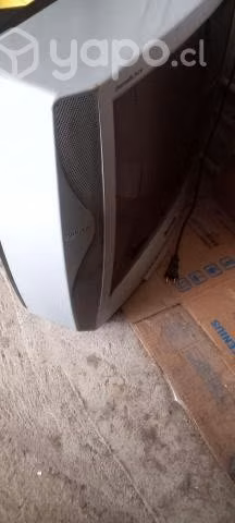 Televisor