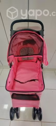 Coche para mascota