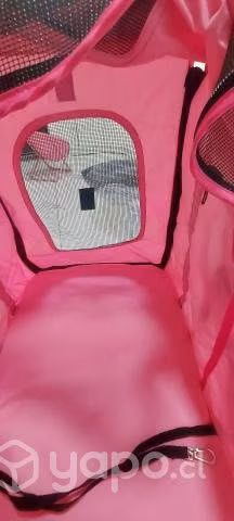 Coche para mascota