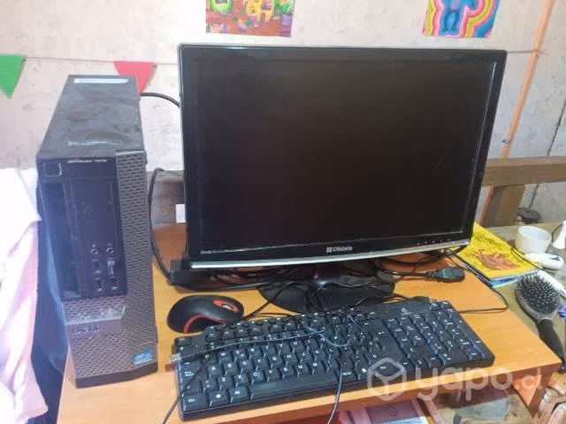 Articulos