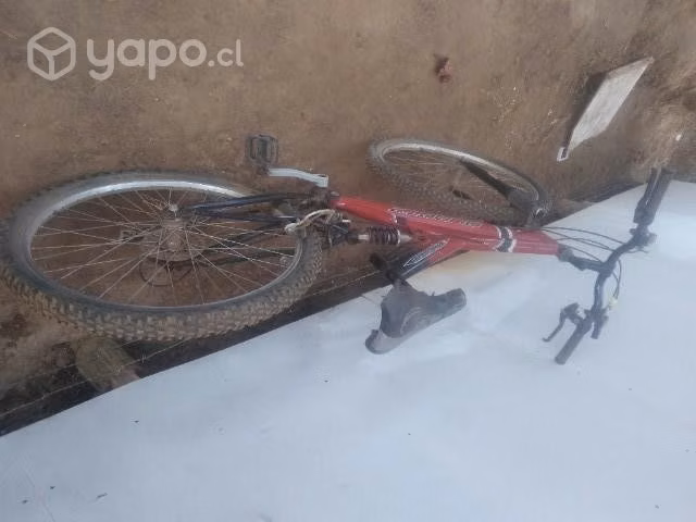 Bicicleta oxford