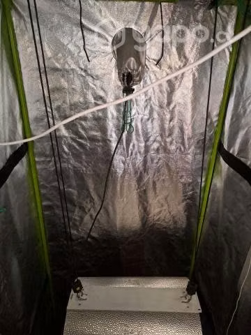 Kit indoor