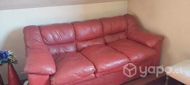 Sofa 3 cuerpos
