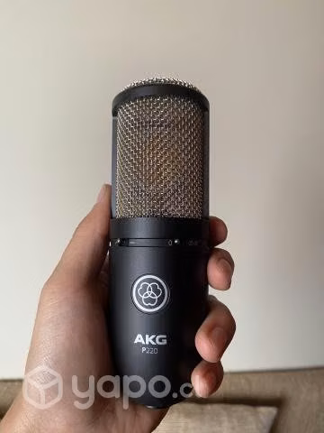 AKG P220
