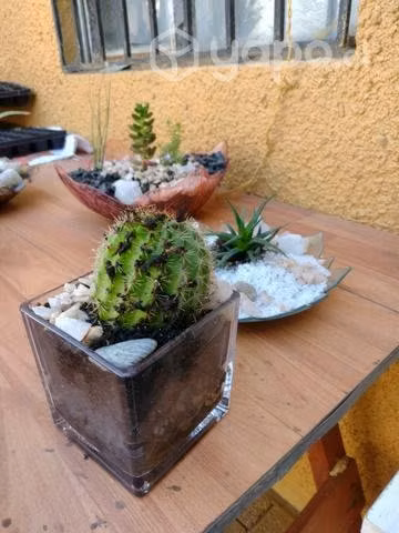 Adornos centro de mesas - Imagen 3