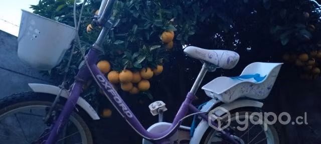 bicicleta - Imagen 2