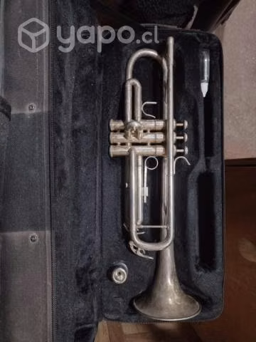 Trompeta