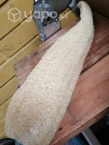 Luffa (esponja natural)