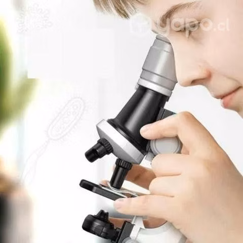 Kit Microscopio Compuesto Con Luz 100x A 450x