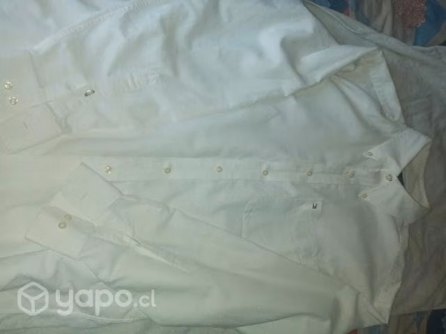 camisa Tommy Hilfiger y Pantalon Dockers
