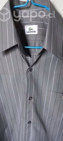 Camisa lacoste nueva - Imagen 2