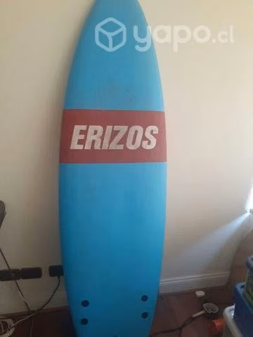 Tabla de surf azul erizos