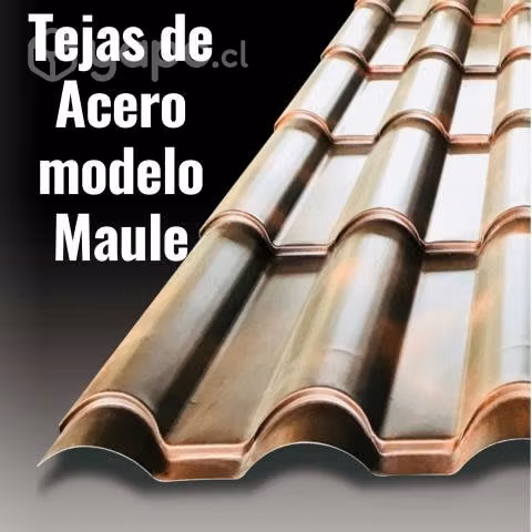 Teja contínua Maule