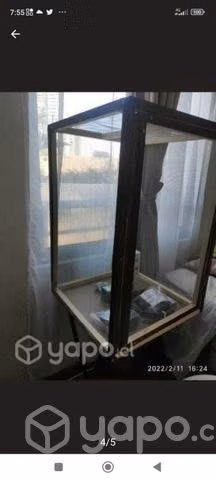 Terrario nuevo - Imagen 3