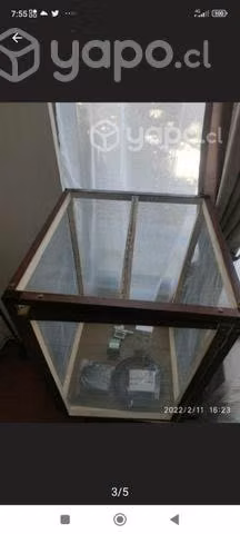 Terrario nuevo - Imagen 2