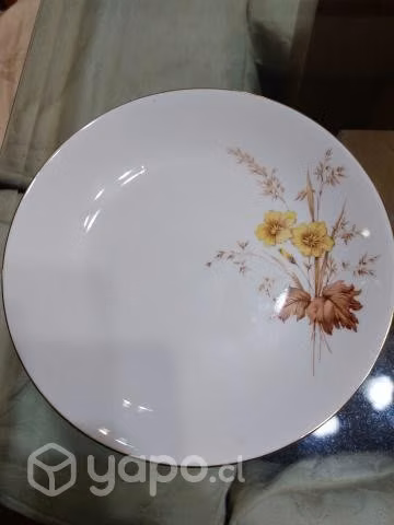 Juego de loza antiguo