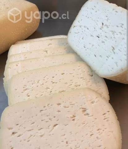 Queso de cabra de ovalle por kilo