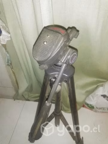 Tripoide fotografía
