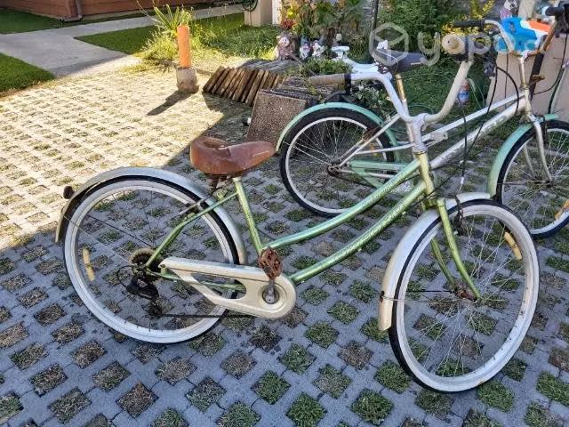 Bicicleta Oxford Paseo