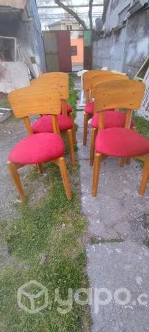 Sillas 6 unidades recién tapizadas