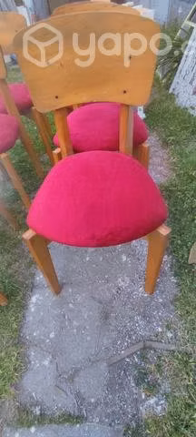 Sillas 6 unidades recién tapizadas