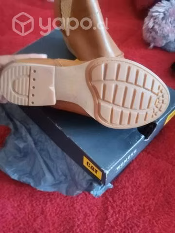 Zapatos cat - Imagen 4