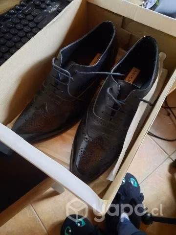 Zapato Antonima