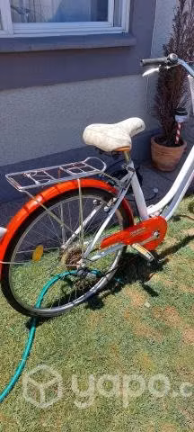 Bicicleta