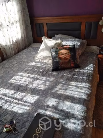 Cama