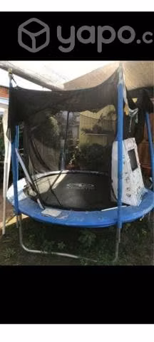 Cama elástica 2,44
