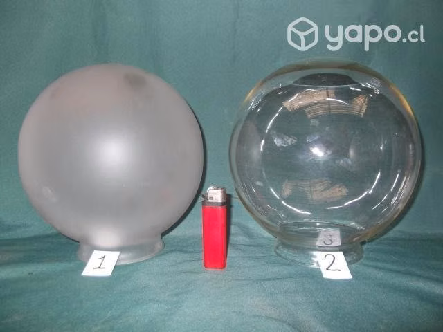 Tulipa Globo 20 Cms. Valor C/u