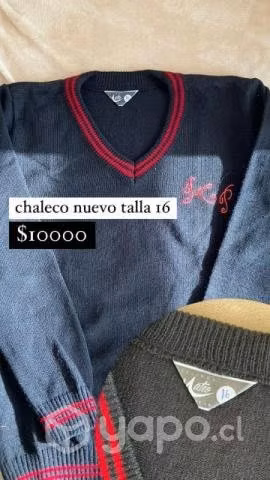Uniforme Liceo I. Carrera Pinto