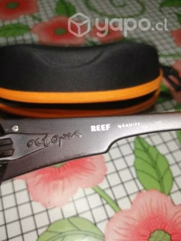 Reef - Imagen 2