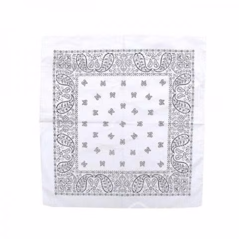 Lote 9 Bandanas blancas