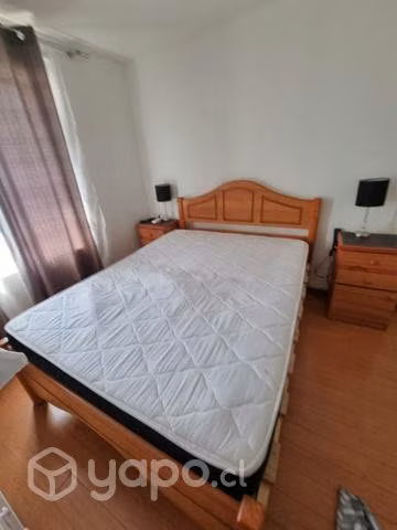 Cama pino insigne 2 plazas - Imagen 3