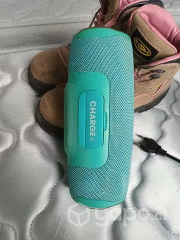 Parlante JBL y trituradora de frutas verdura