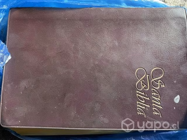 Santa biblia